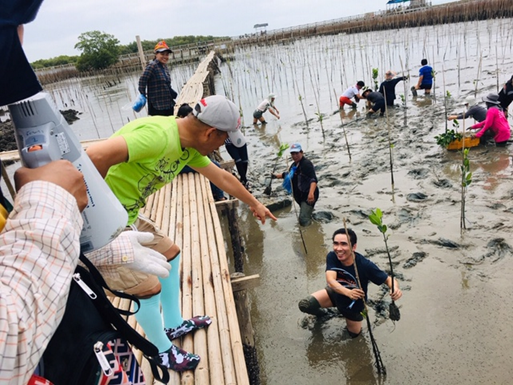 2019-Aug-Plant Mangrove Forest